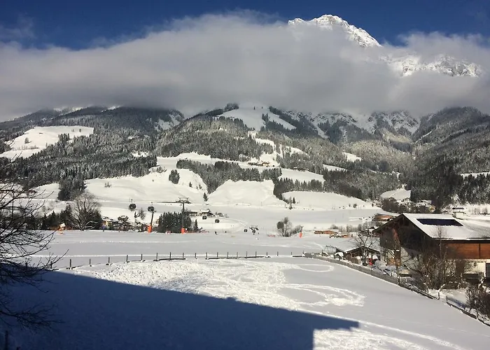 Stockingbauer 레오강